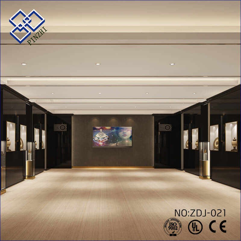 ZDJ-021-03 Gemstones showcase shop