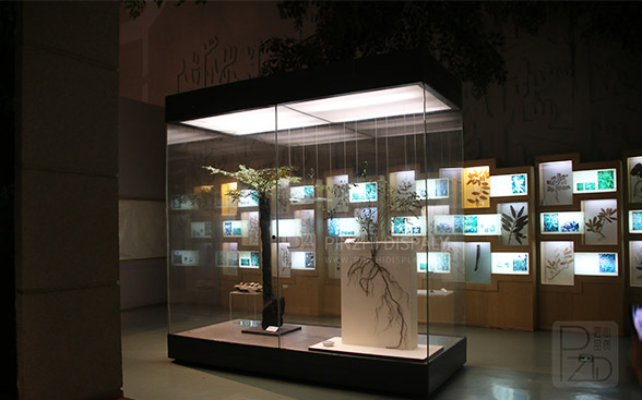 Natural museum design plant exhibition hall design