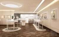 【German】high-end luxury diamond jewelry store design