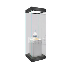 High end quality museum glass display case