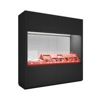 High end museum dustproof glass display case