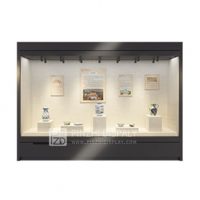 Museum Glass Display Wall Cabinet